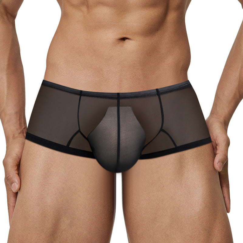 AD326 Men's NYLON underwear underpants