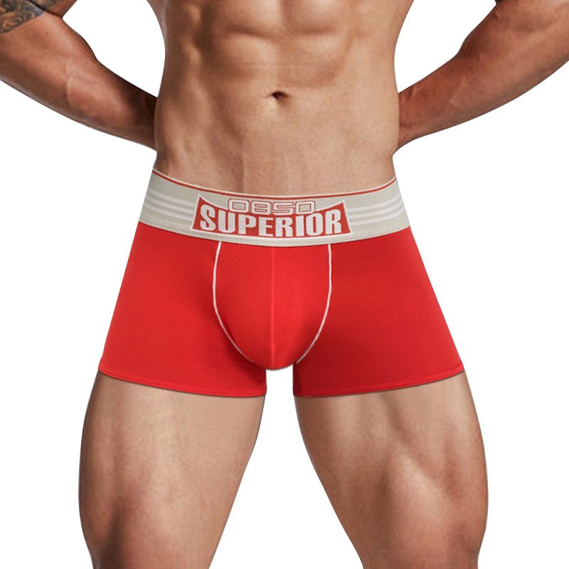 95% cotton men's underwear - Lovetoys wholesales shop