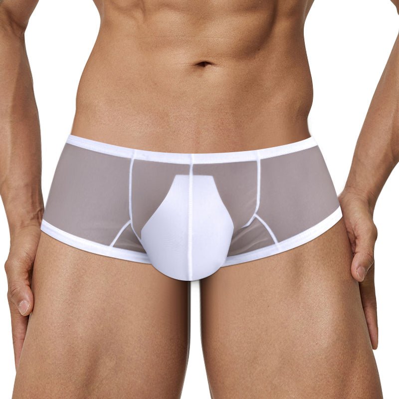 AD326 Men's NYLON underwear underpants - Lovetoys wholesales shop