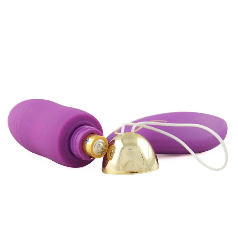 Clitoral Stimulation Rechargeable 10 Frequency Remote Control Wireless Vibrating Egg Sex Toys - Lovetoys wholesales shop