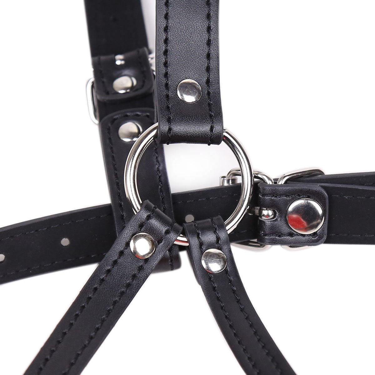 Lips Gag With Heard Harness - Lovetoys wholesales shop