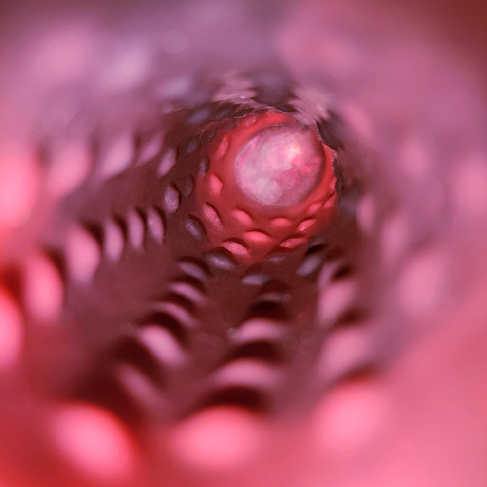 MV - X7881 10 Frequency Vibration Vibrating Cock Sleeve - Lovetoys wholesales shop