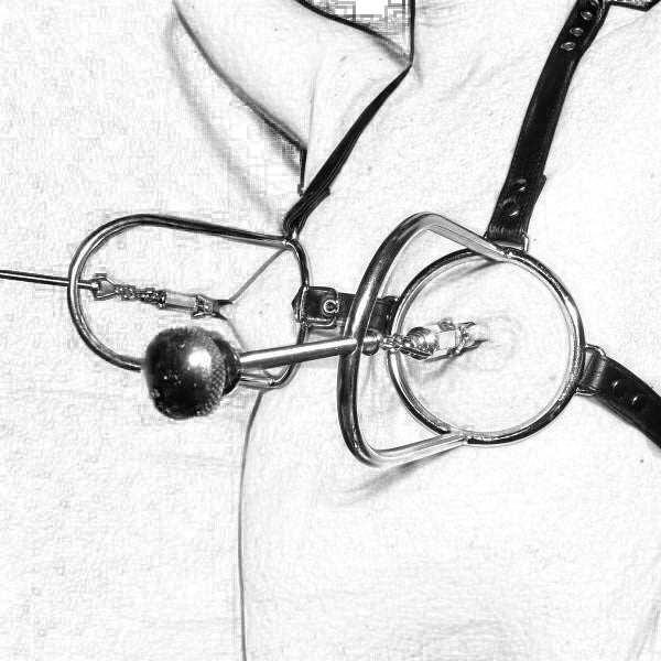 MW - X5110 Clover Clamp Nipple Stretcher With Strap - Lovetoys wholesales shop