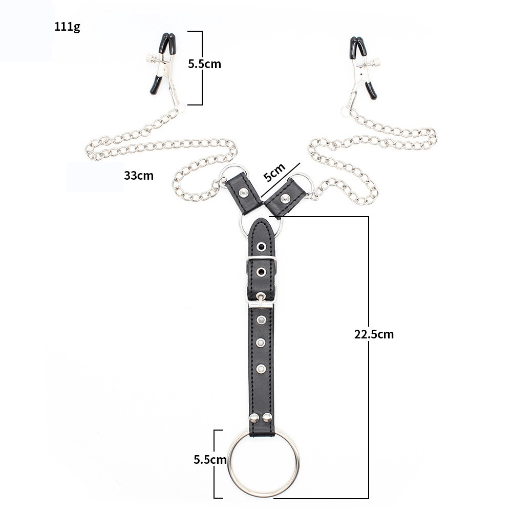 Penitentiary Nipple Clamps and Cock Ring Set - Lovetoys wholesales shop