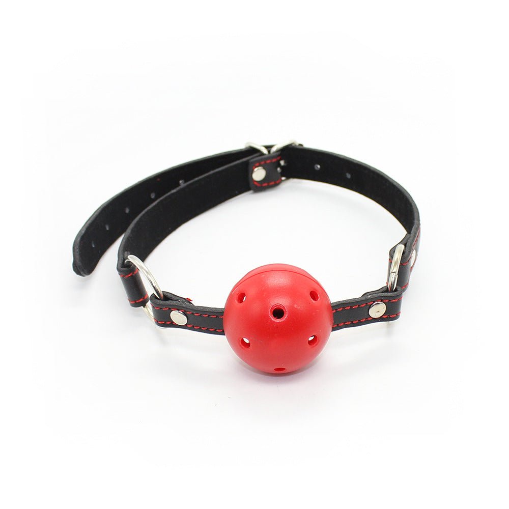 Pin Buckle Breathable O Ring Heart Strap Ball Gag - Lovetoys wholesales shop