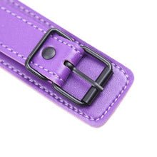 Purple Leather Collar With Nipple Clamps - Lovetoys wholesales shop