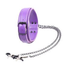 Purple Leather Collar With Nipple Clamps - Lovetoys wholesales shop