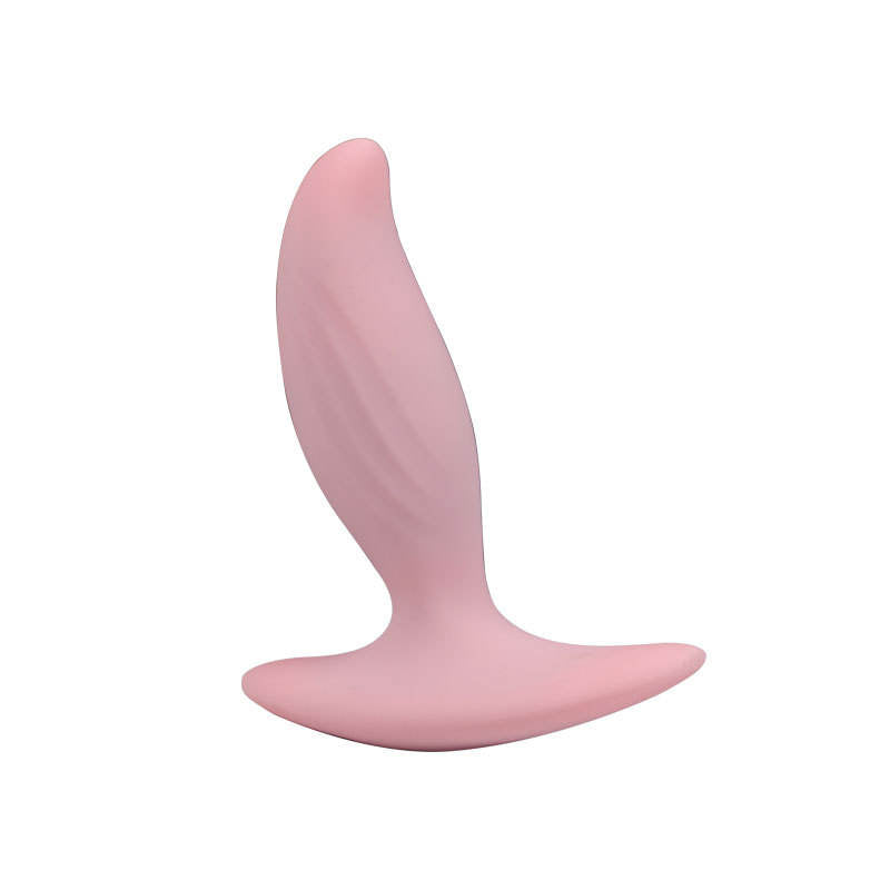 10 Frequency Vibration Silicone Bead Anal Plug Adult Toy Adult Male and Female Flirting