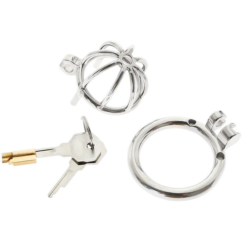 The Pen Deluxe Stainless Steel Locking Chastity Cage - Lovetoys wholesales shop