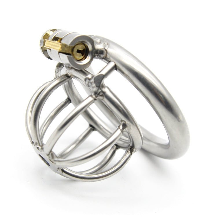 The Pen Deluxe Stainless Steel Locking Chastity Cage - Lovetoys wholesales shop