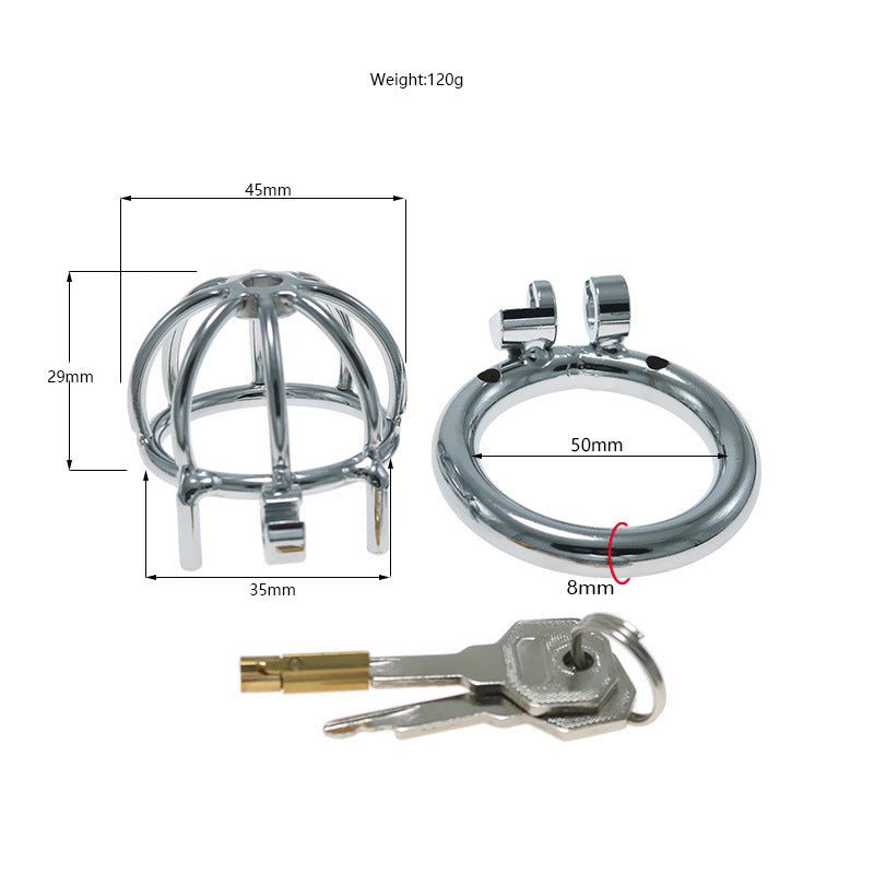 The Pen Deluxe Stainless Steel Locking Chastity Cage - Lovetoys wholesales shop