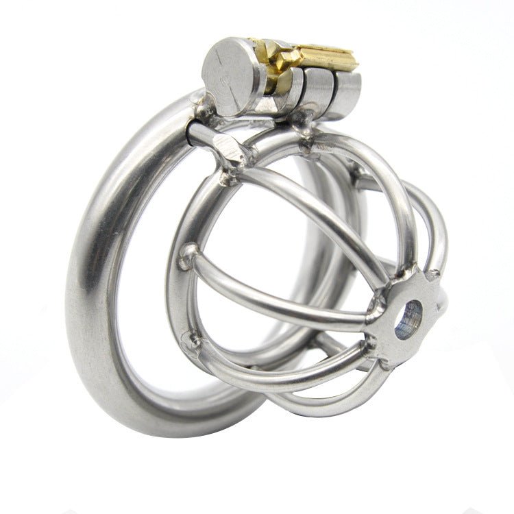 The Pen Deluxe Stainless Steel Locking Chastity Cage - Lovetoys wholesales shop